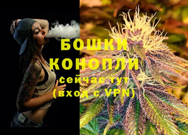 хмурый Богородск