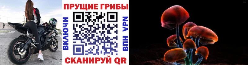 купить наркотик  kraken ONION  Галлюциногенные грибы мухоморы  Давлеканово 